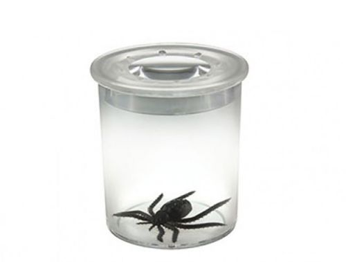 Avista Insectos Mini